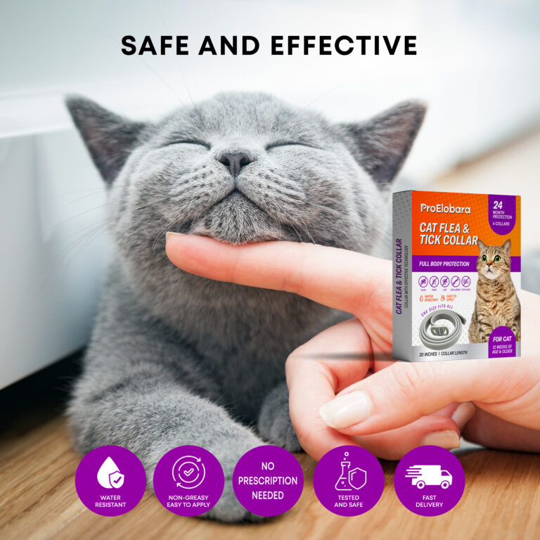 Image showcasing Cat Flea Tick Prevention Collar: Nature Flea Collar for Cats Fleas ...