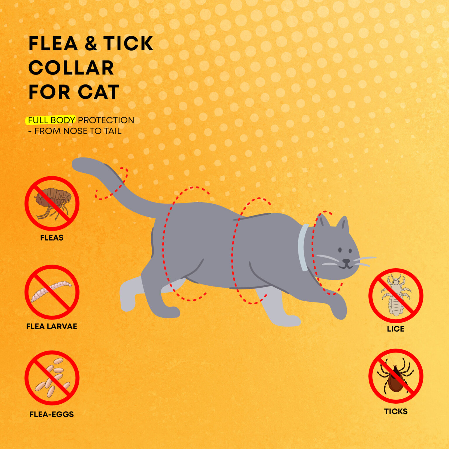 Flea & Tick Prevention for Kittens - Vca - Kitten Flea Control For Purebred