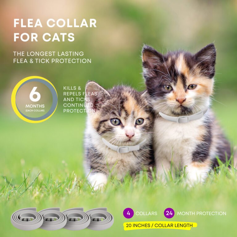 A closer look at Least Toxic Flea Prevention For Kitten Uticarias