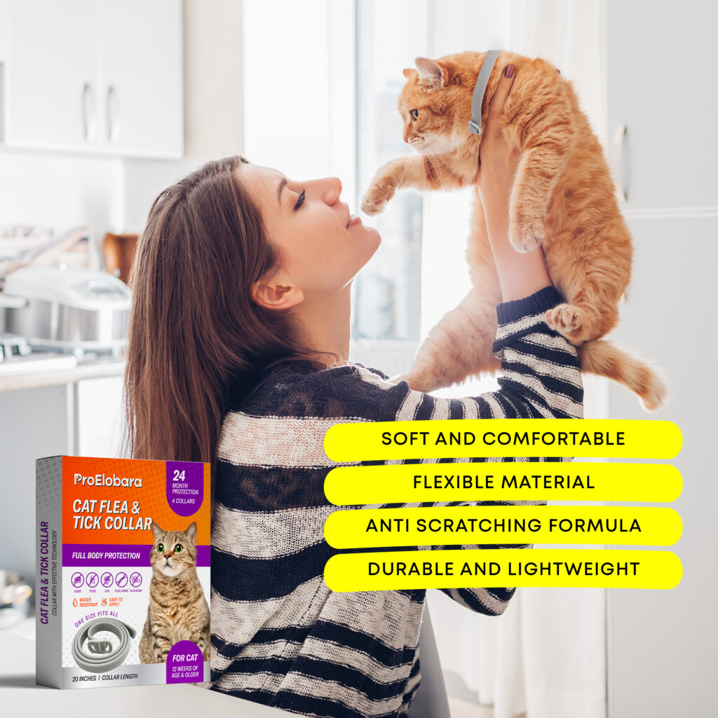 Fresh Look at Cat Flea Tick Prevention Collar Nature Flea Collar For Cats